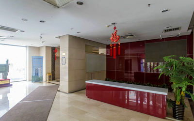 恋日国际 恋日国际