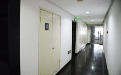 远洋新干线 远洋新干线