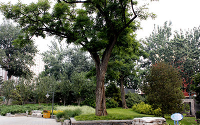 朗琴国际大厦 朗琴国际大厦