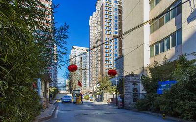 千鹤商务1号 千鹤商务1号