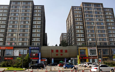 龙德紫金 龙德紫金